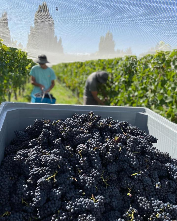 Vila 'The Crib' On Legacy Vineyard Alexandra Exteriér fotografie