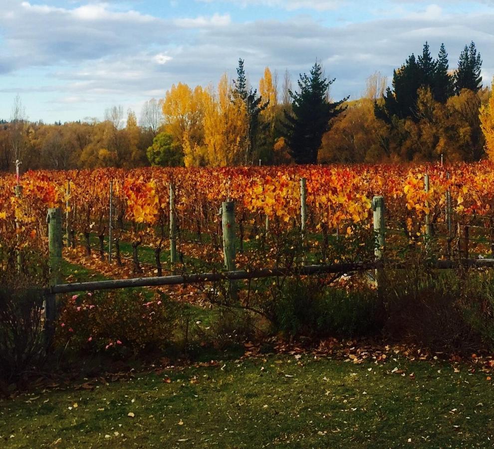 Vila 'The Crib' On Legacy Vineyard Alexandra Pokoj fotografie