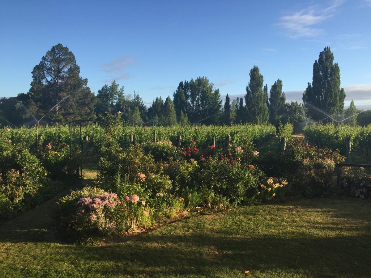 Vila 'The Crib' On Legacy Vineyard Alexandra Pokoj fotografie
